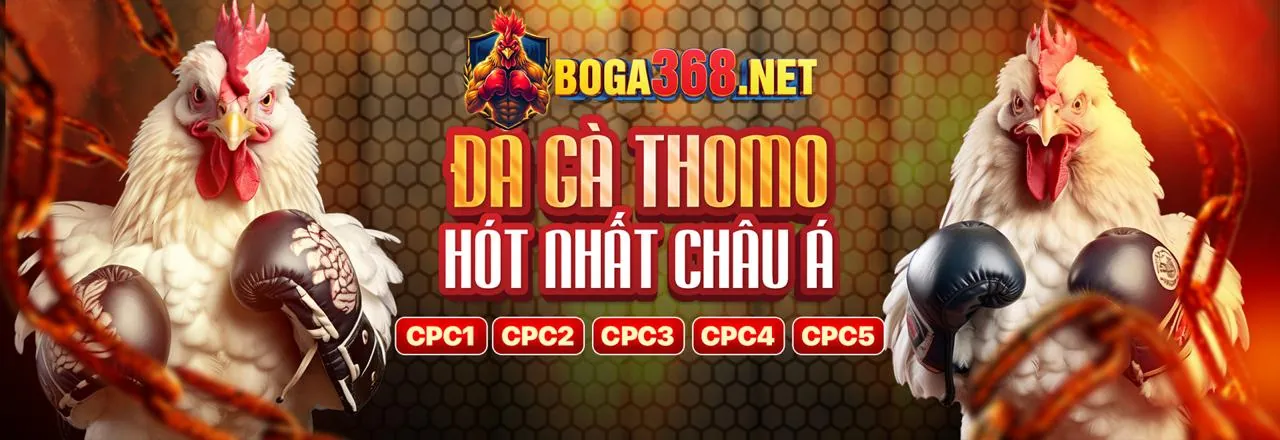 Sân đấu đá gà kịch tính trên ứng dụng 32win11 Android